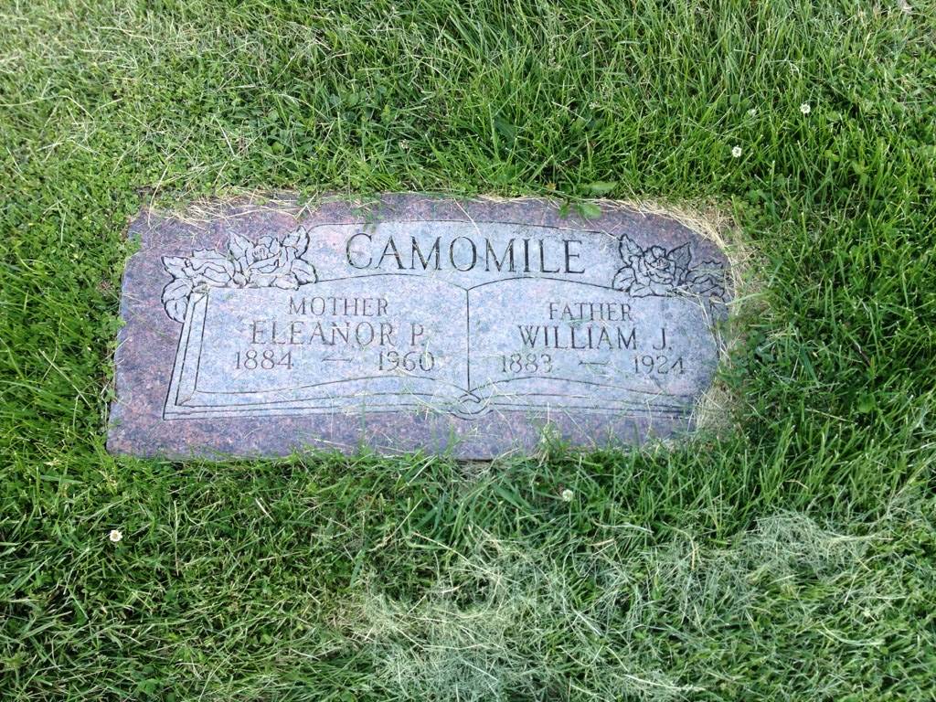 Burial marker for Eleanor P Camomile (1884 - 1960), interred at Salt Lake City Cemetery- Quadrant III in Salt Lake City, Salt Lake, Utah, United States